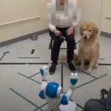 【衝撃的】犬はロボットの命令に従うのか？アメリカの研究結果が公開される