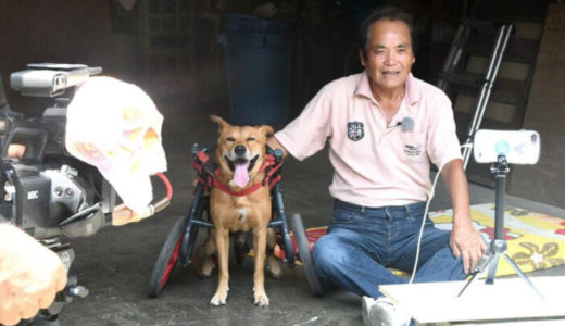 徳之島で起こった奇跡！車いす犬のラッキーと一人の男性の物語「支えられていたのは自分でした」